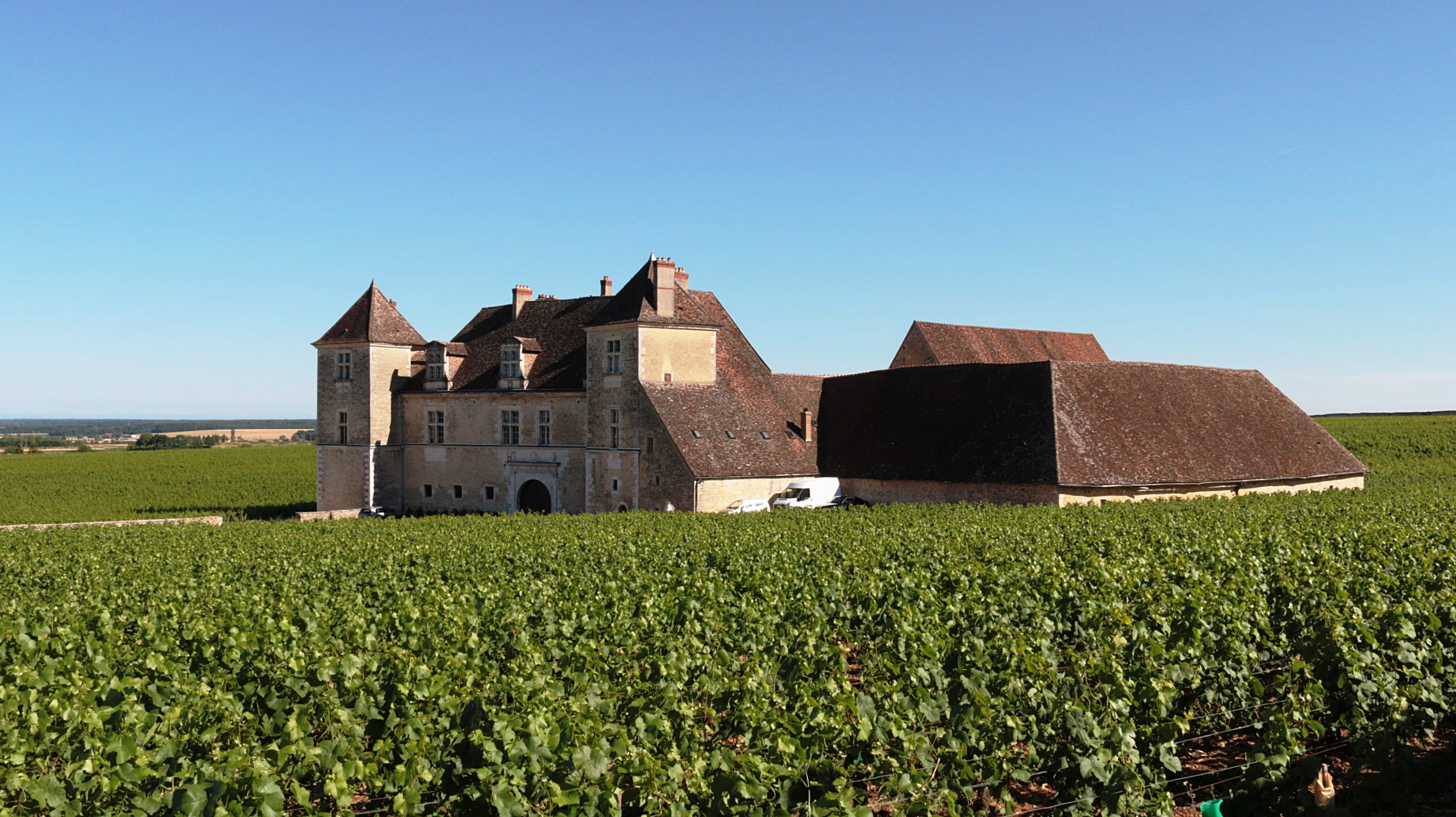 sky-vine-vineyard-wine-field-farm-958027-pxhere.com